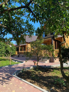 Guest House on Angisa
